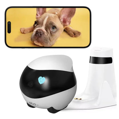 Tukami Bot™ Expert